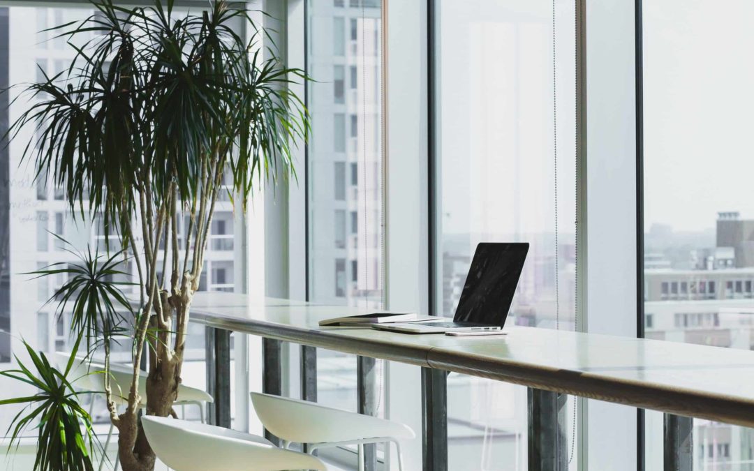 Sustainable Office Design Ideas