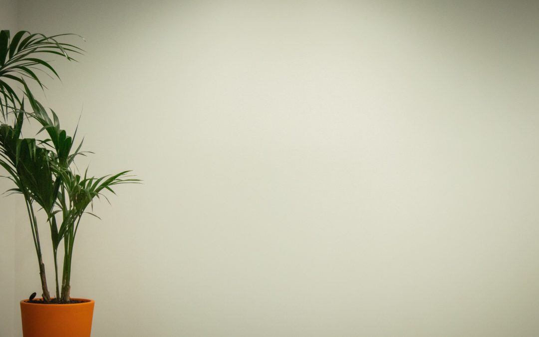 Art in the workplace. Why it’s important and how to use it