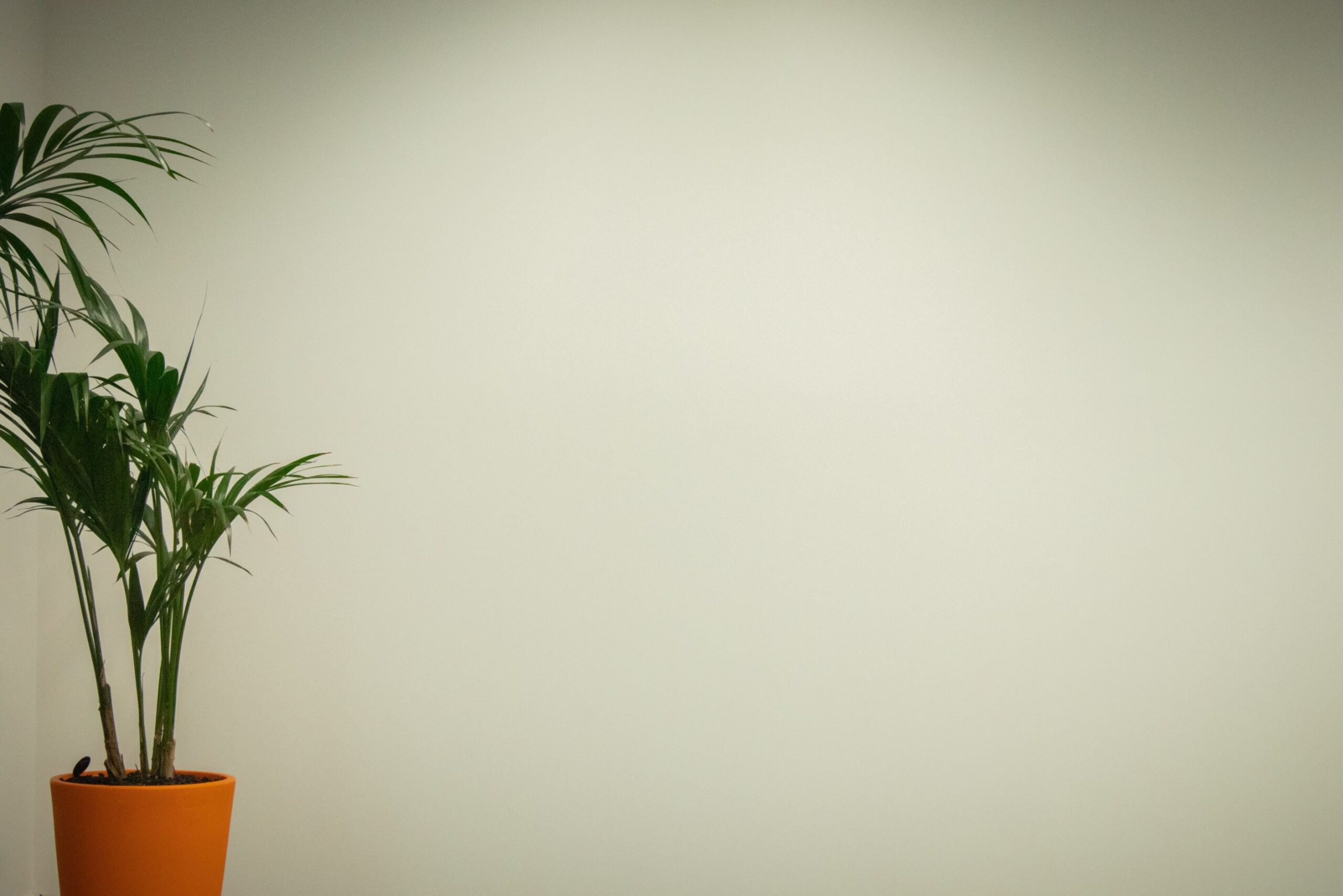 art in the workplace