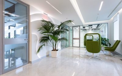 Bright physiotherapy clinic waiting area with green chairs, large indoor plant and glass partition, designed by He Interiors.