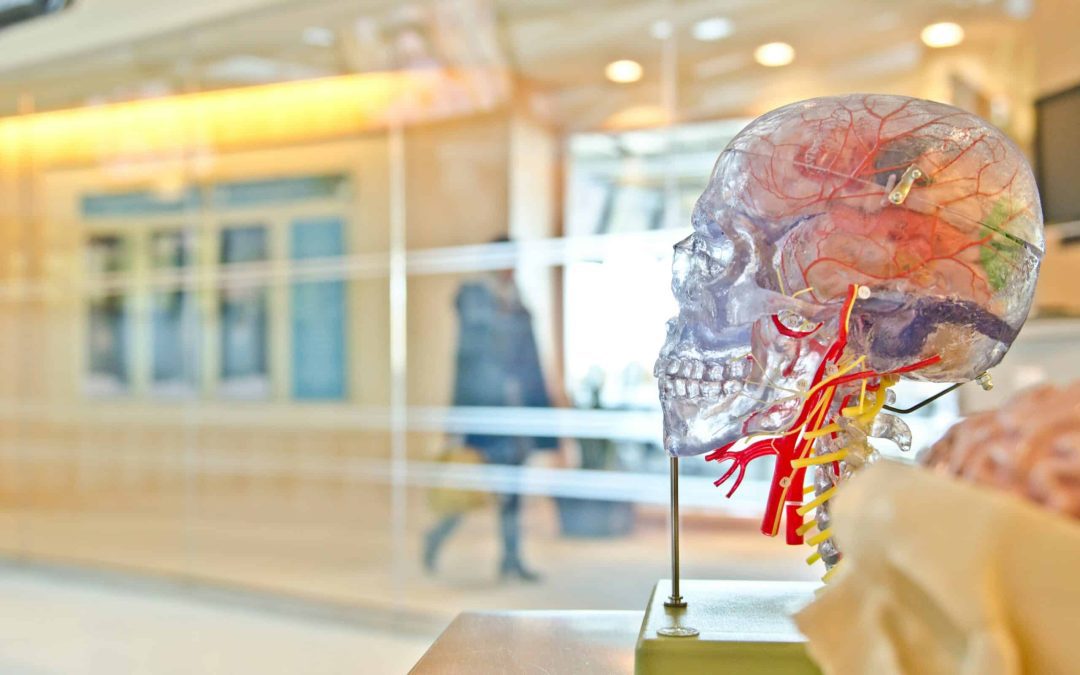 Brandon Medical and HE Interiors Announce Partnership for Clinical Fit Out