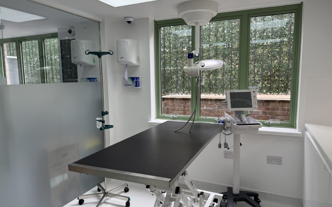 Veteris 24 hr Pet Care, Battersea