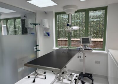 Veteris 24 hr Pet Care, Battersea