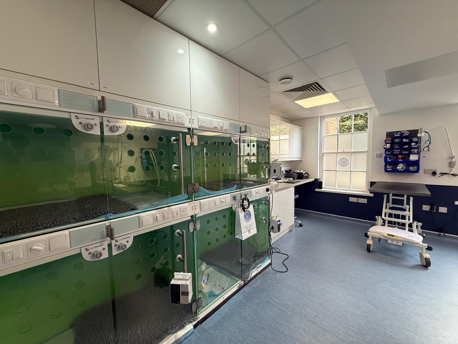Intensive care and kennel area at Veteris' 24-hour veterinary practice in Twickenham, completed by HE Interiors.